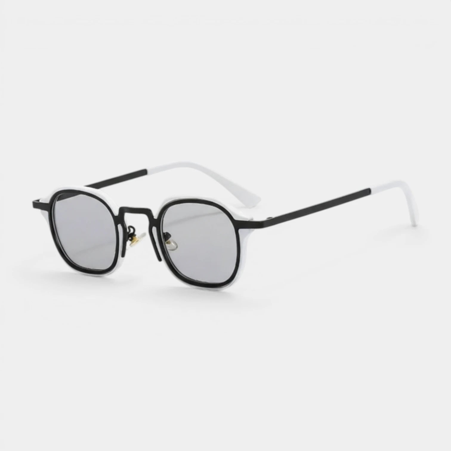 Lunettes Rondes Pont Métallique Verres Dégradés pour Homme