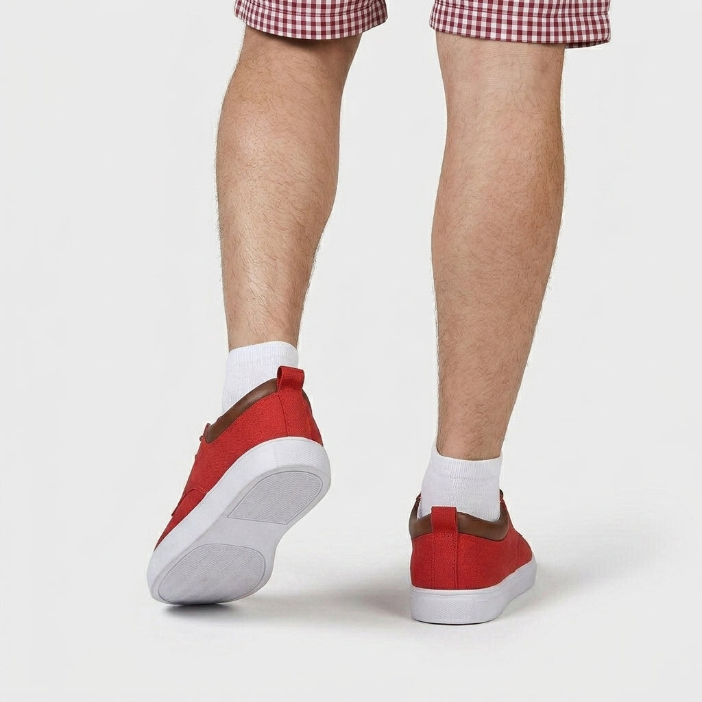 Baskets Toile Lacées Semelle Plate Talon Contrasté pour Homme