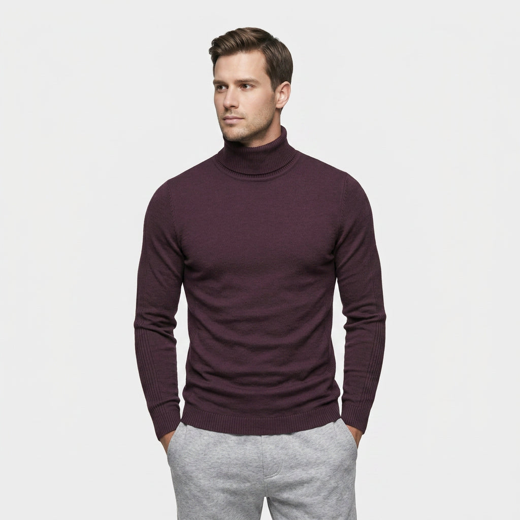 Pull Maille Épaisse Col Montant pour Homme