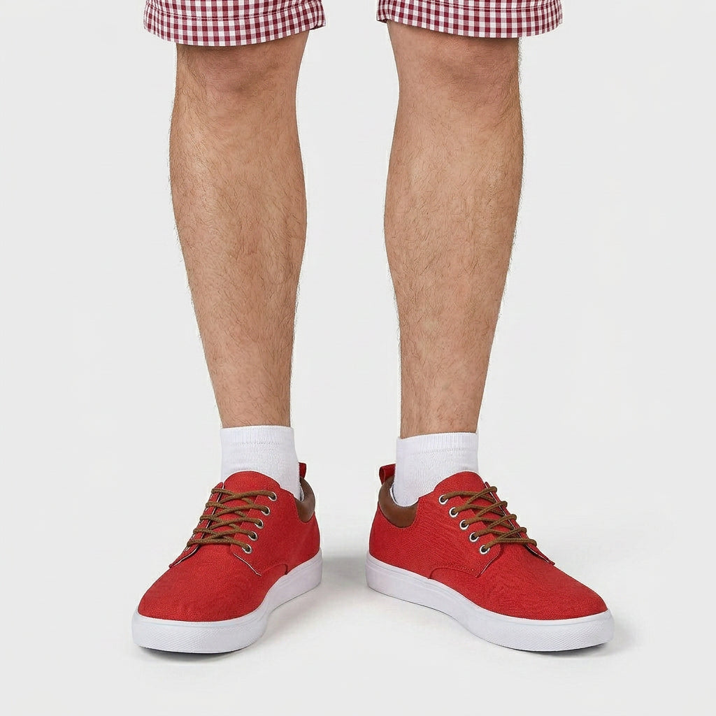 Baskets Toile Lacées Semelle Plate Talon Contrasté pour Homme